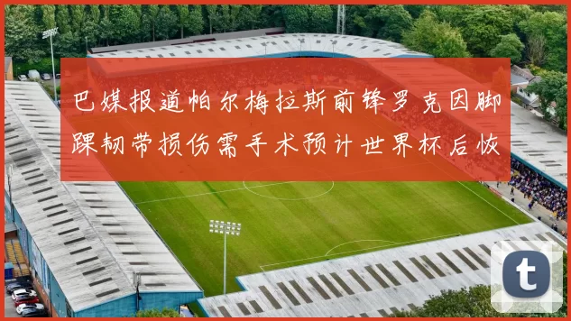 巴媒报道帕尔梅拉斯前锋罗克因脚踝韧带损伤需手术预计世界杯后恢复