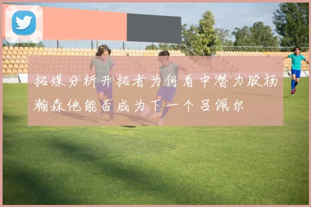 拓媒分析开拓者为何看中潜力股杨瀚森他能否成为下一个吕佩尔